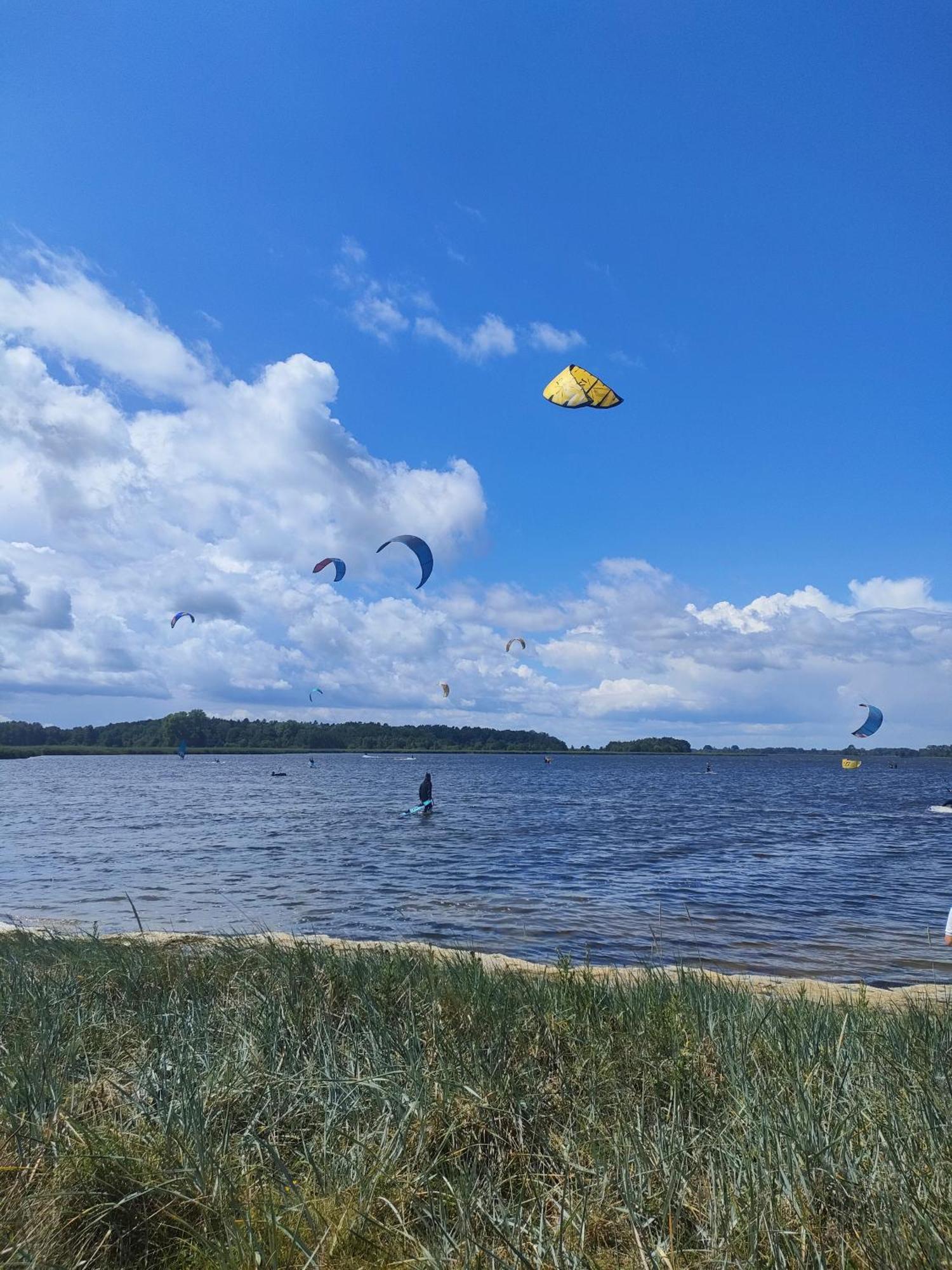 Plyniewoda - Caloroczne Domy Premium, Klimatyzacja, Kominek, Blisko Morza Dziwnów Extérieur photo